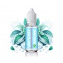 Menthe givrée Easy 10ml