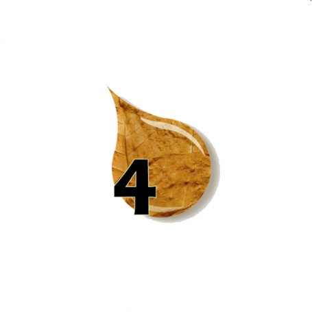 Concentré Tabac 4 E-saveur 10ml