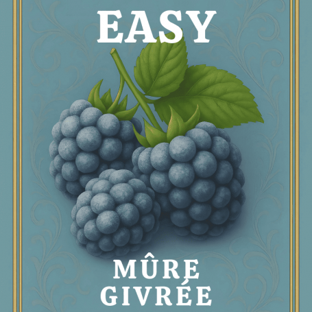 Mûre givrée Easy fill