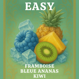 Framboise bleue ananas kiwi Easy fill