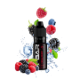 Fresh Berry X-Bar SDN 10ML